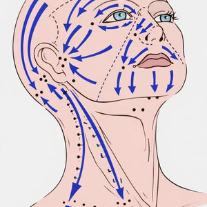 Brosse drainage lymphatique